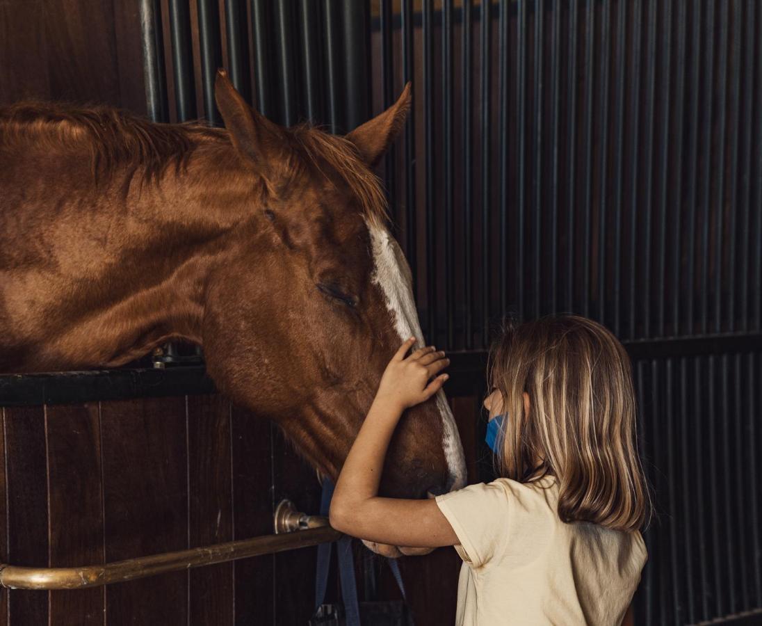 Podere Val D'Orcia - Tuscany Equestrian Sarteano Exterior photo